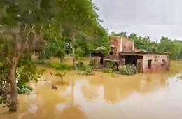 Devastating Floods Swallow Roads, Houses, and Livestock in Bangladesh